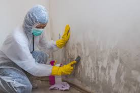 Reliable Dos Palos, CA Mold Remediation Solutions